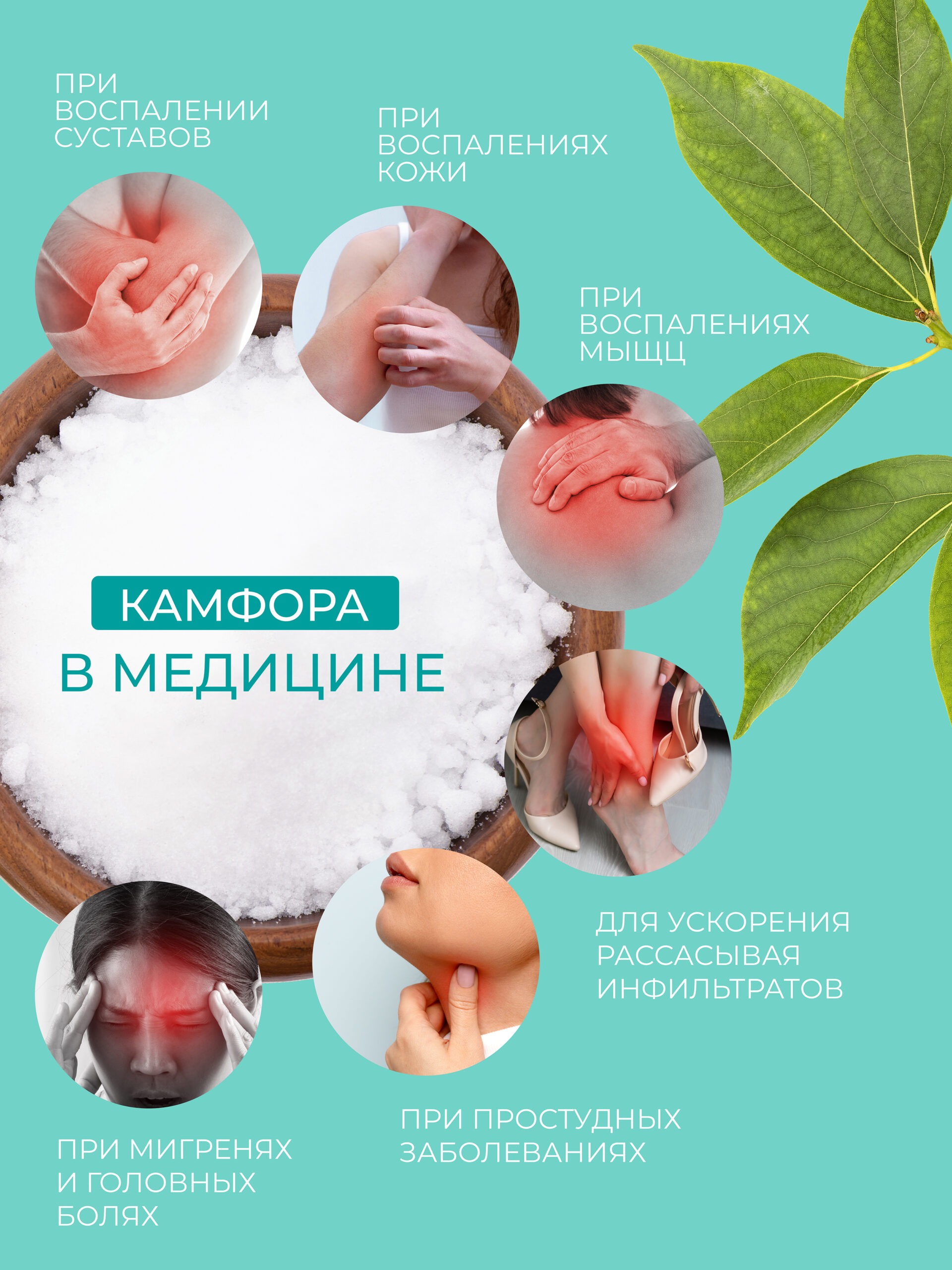Камфора натуральная кристаллическая — изображение 4