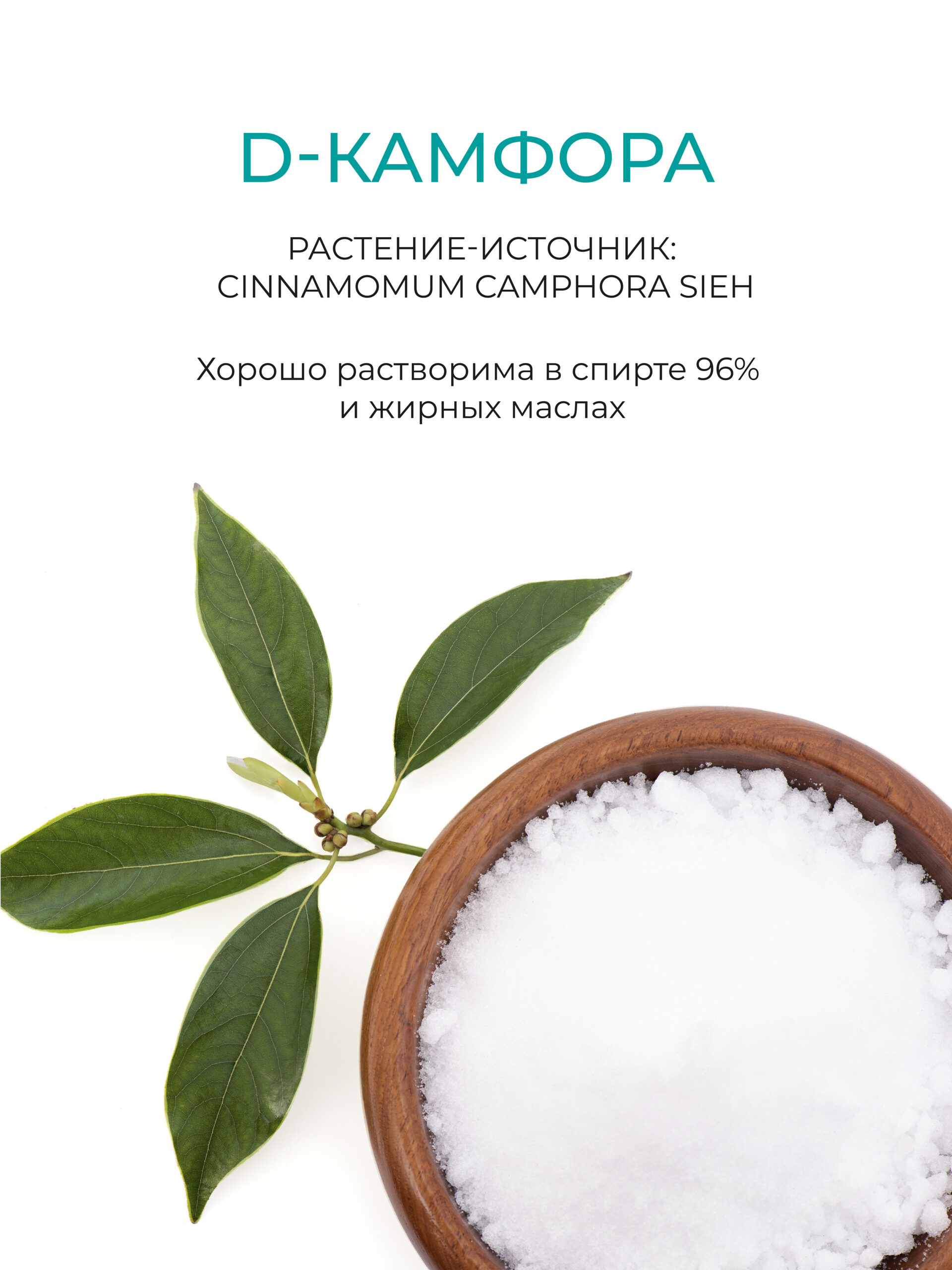 Камфора натуральная кристаллическая — изображение 2
